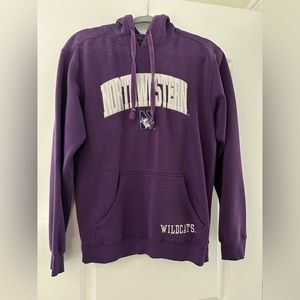 Northwestern Hoodie💜